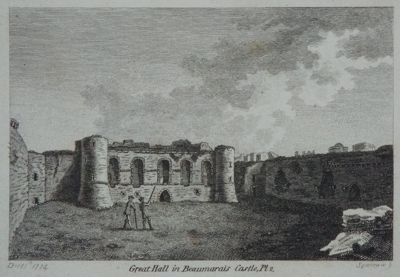 Print - Great Hall in Beaumaris Castle, Pl 2. - 